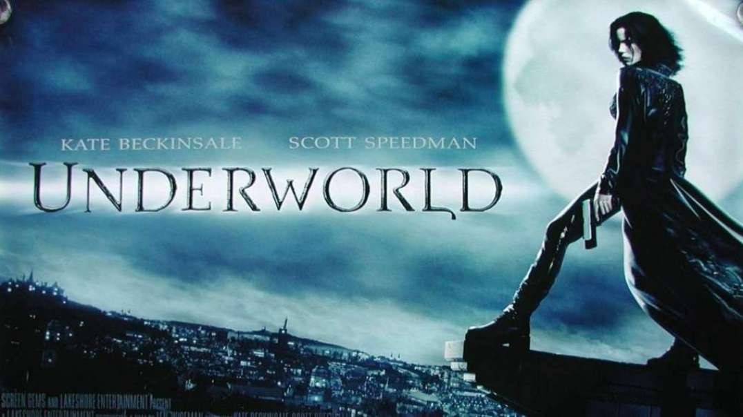 Hollywood Adventure Full Movie